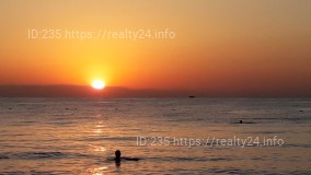 земельна ділянка test ID: 2415