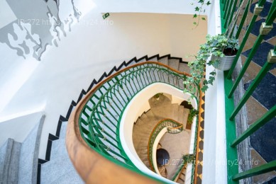 White Wolf House Hostel & Apartments Prague ID: 3164