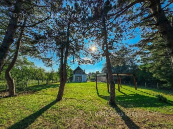 Country house surrounded by nature ID: 3772