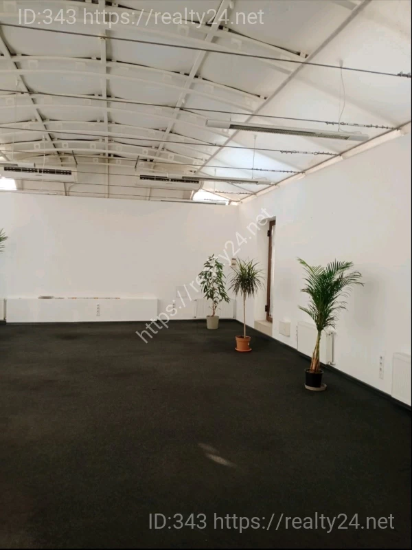 Rent of an office of 148 m2 in a business center without commission, Kyiv, Volodymyrska St. ID: 6585