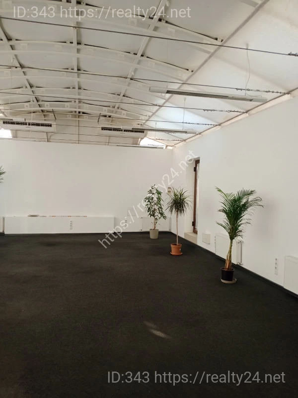 Rent of an office of 148 m2 in a business center without commission, Kyiv, Volodymyrska St. ID: 6593